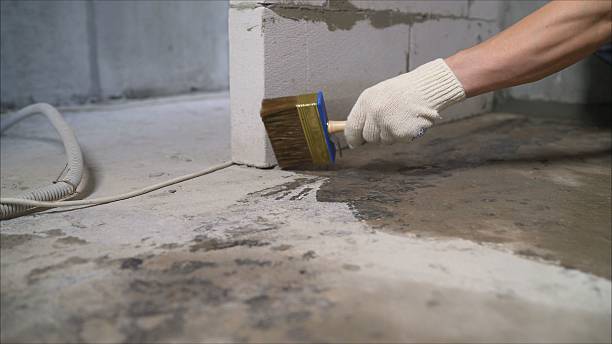 24/7 Emergency Crawl Space Encapsulation experts in Larsen, WI
